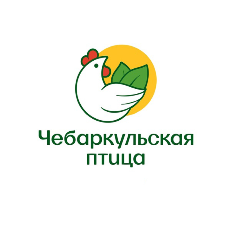 Чебаркульская птица