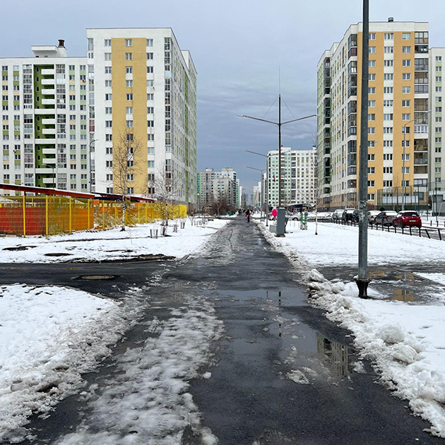 По дороге к маме