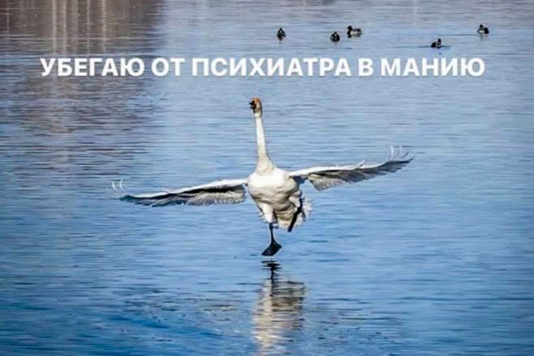 Тот самый мем