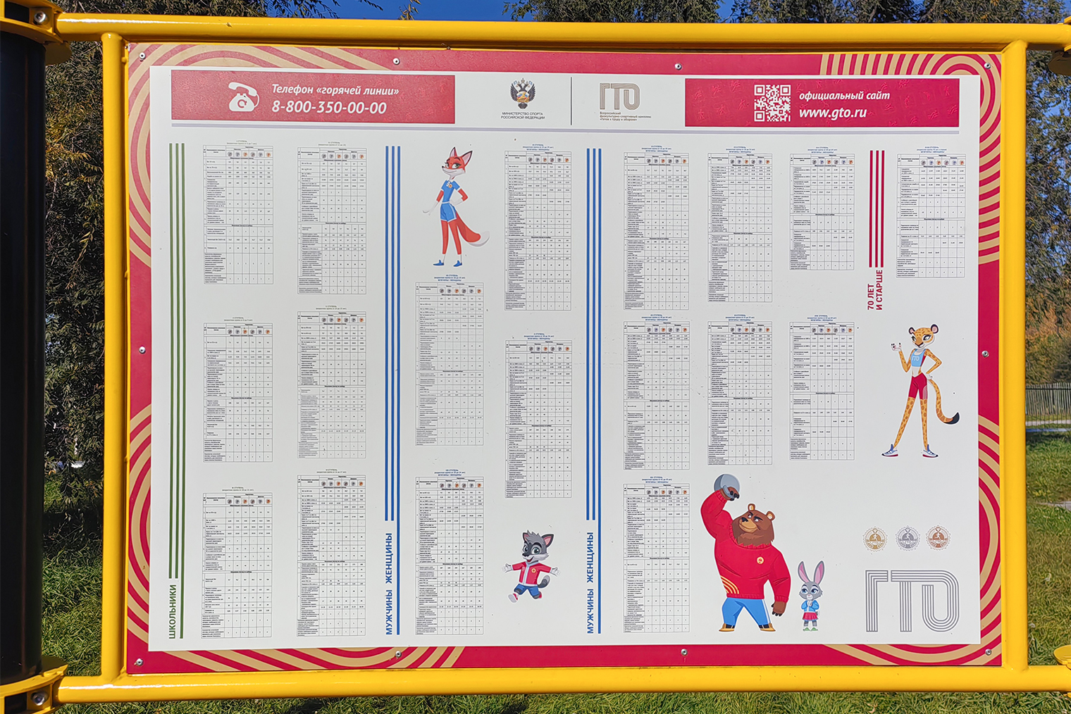 Стенд с нормативами ГТО, сейчас таких много в районе