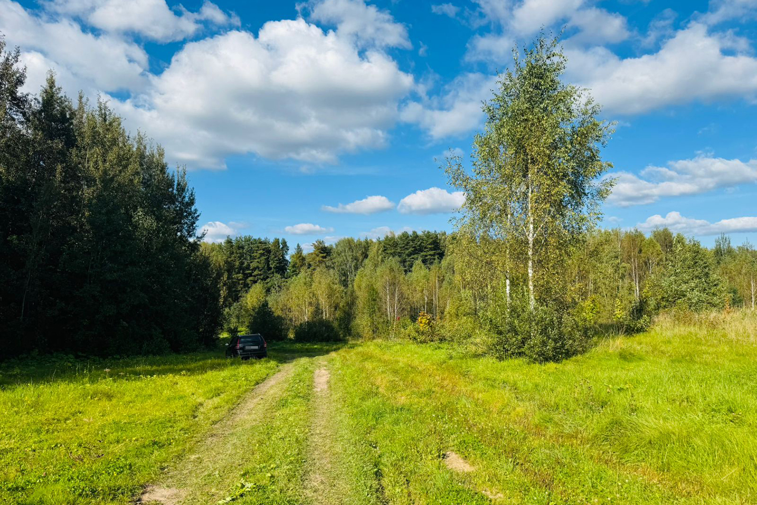 Показала покупателю наш участок