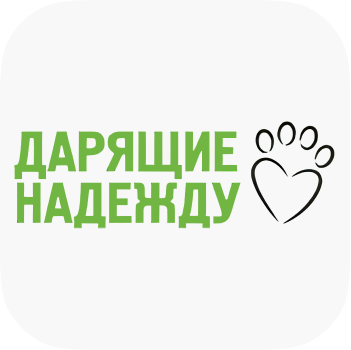 Лейбл заголовка