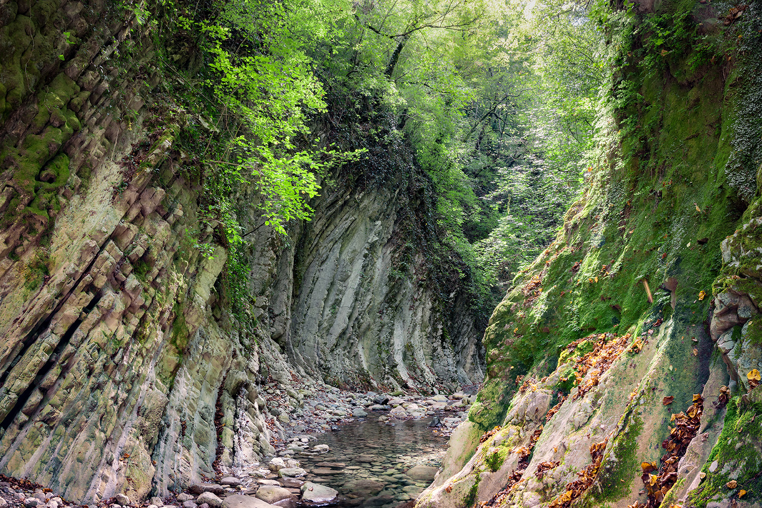 Русло горной реки в Мамедовом ущелье. Фотография: VIKTOR KHYMYCH / Shutterstock / FOTODOM