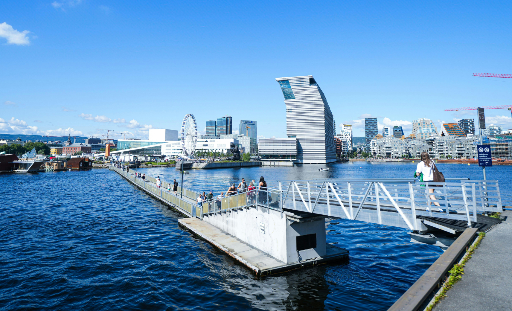 🇳🇴