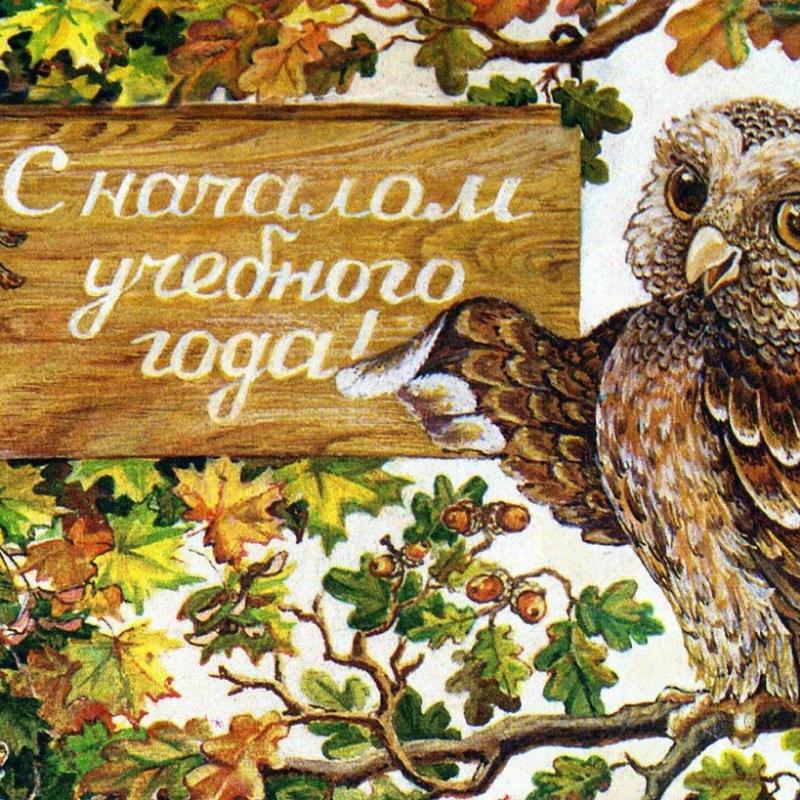Сова