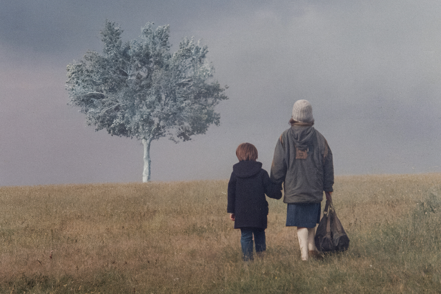 © Paradis Films