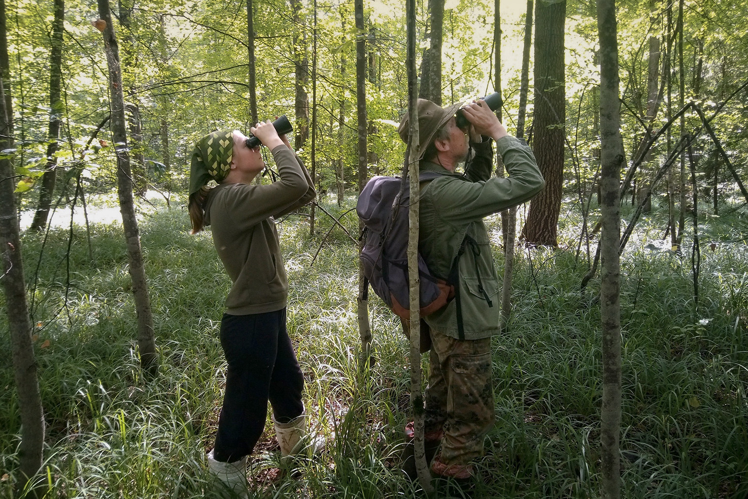 Добровольцы помогают ухаживать за деревьями и сажать новые. © Сообщество в vk.com