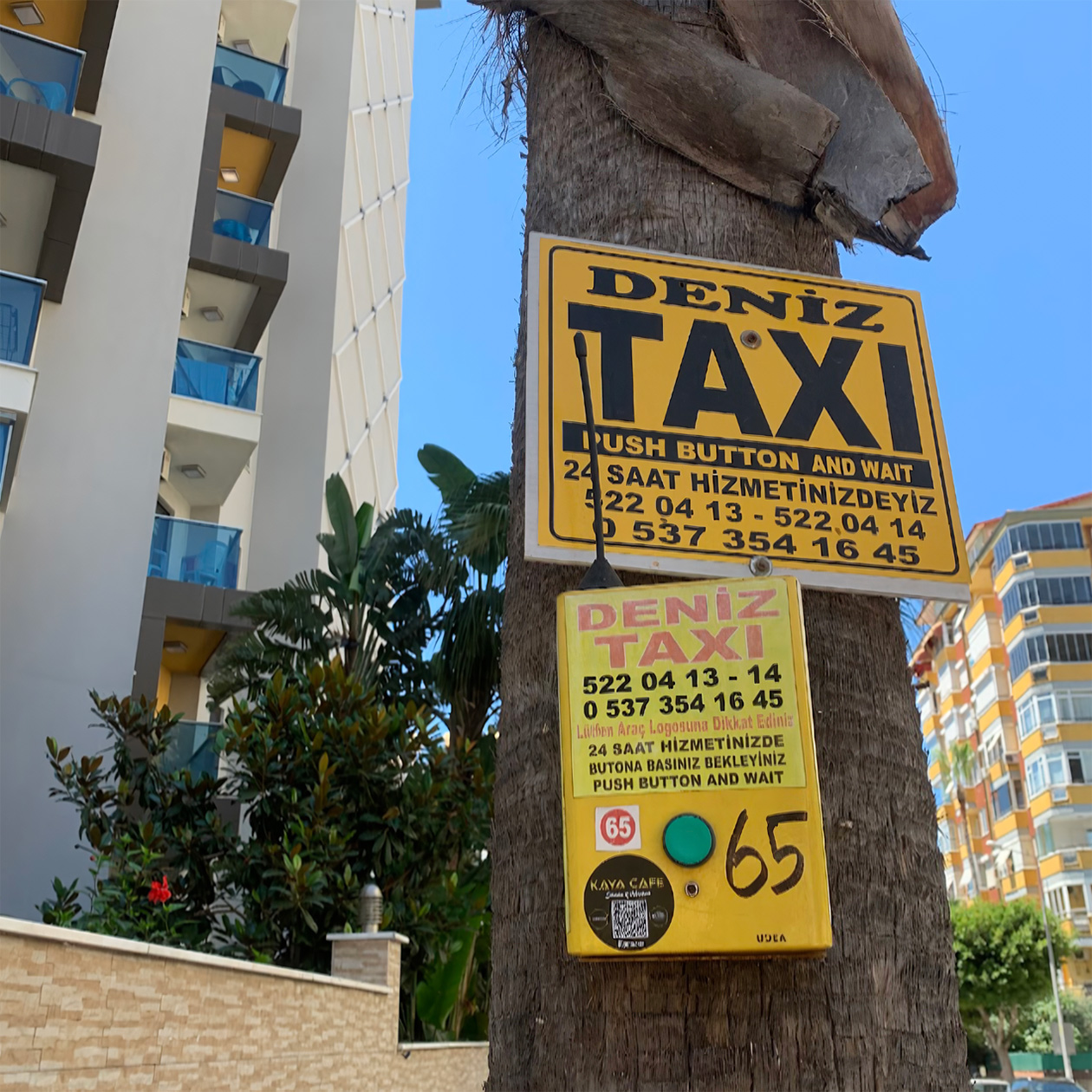 Кнопка для вызова такси на пальме