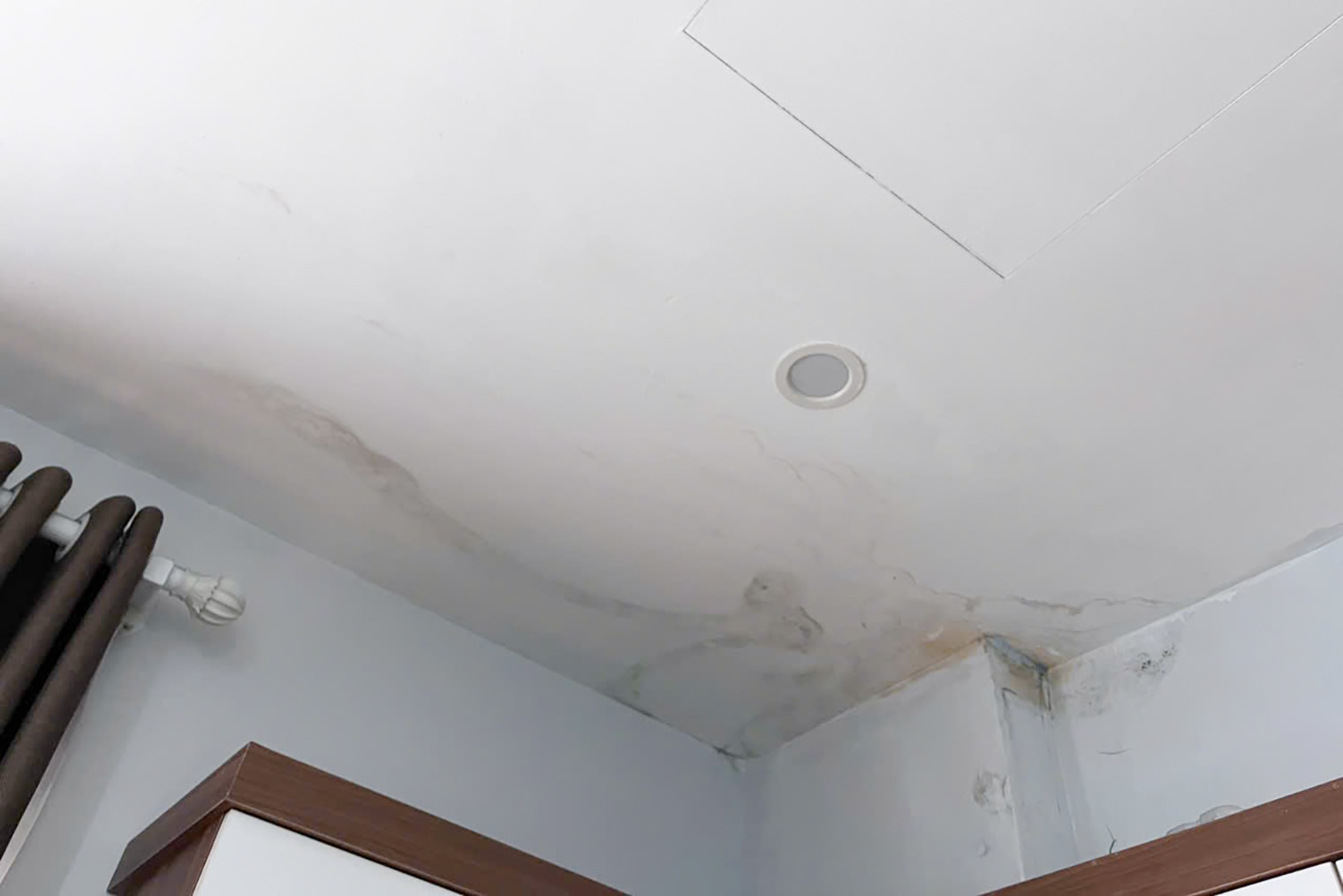 Плесень не исчезала всю зиму. Я неоднократно вызывала мастера, чтобы пятна почистили и убрали, но спустя пару дней плесень снова появлялась. Экспаты в местных чатах советовали регулярно проверять свои документы и держать их в закрытом сухом месте