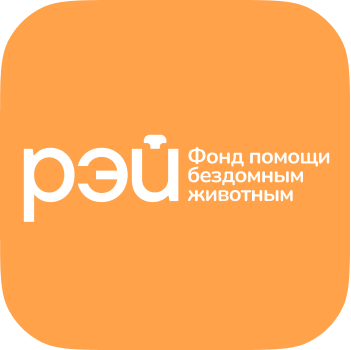 Лейбл заголовка
