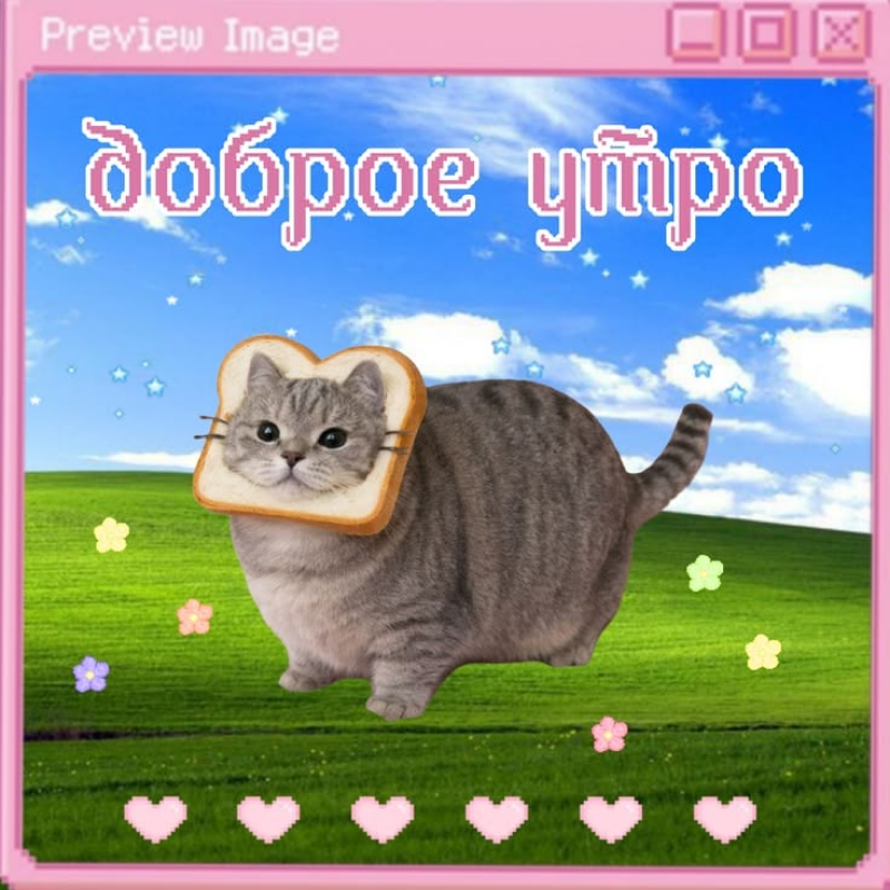 Веб-кошка