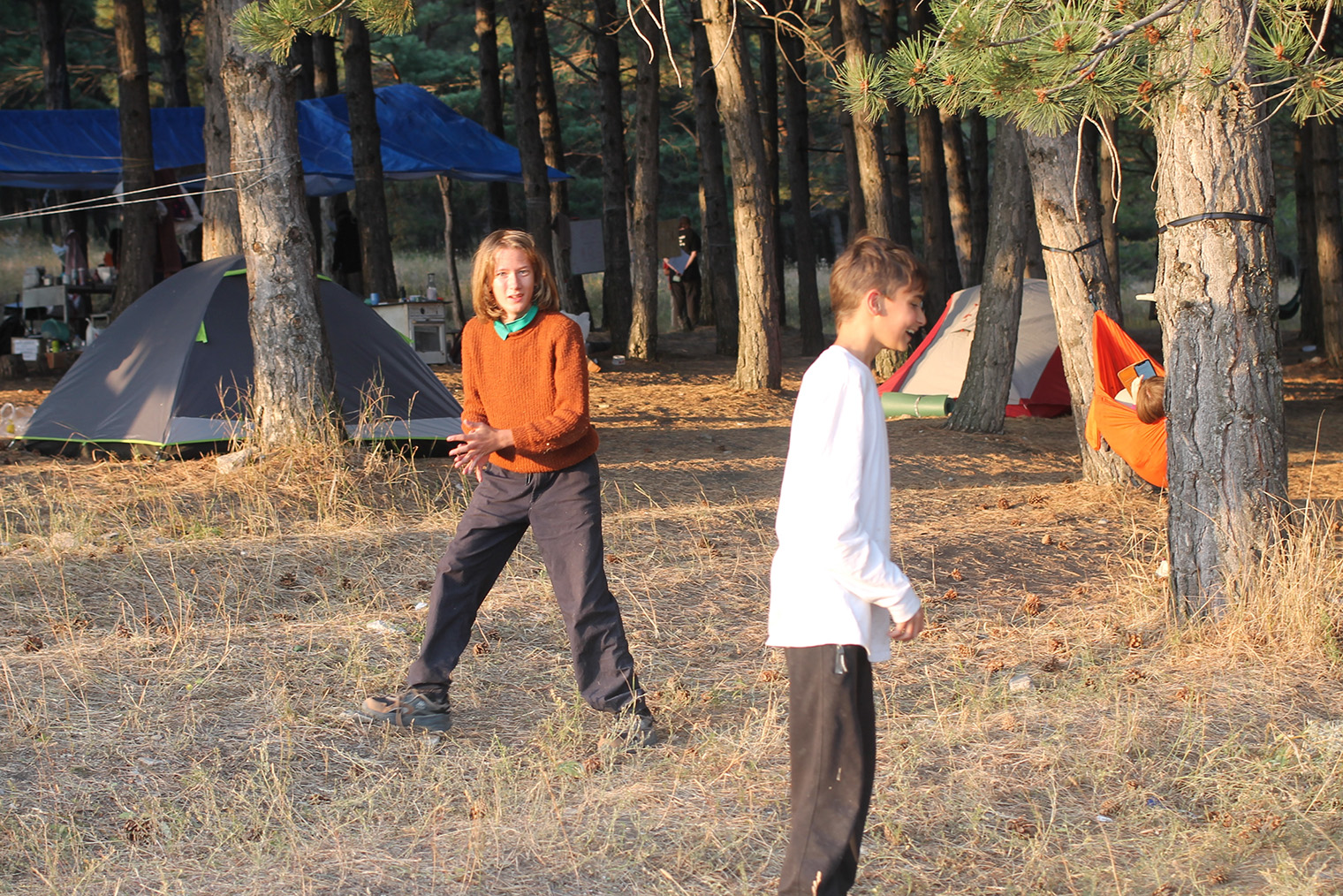 Летняя школа «Лес». © vk.com