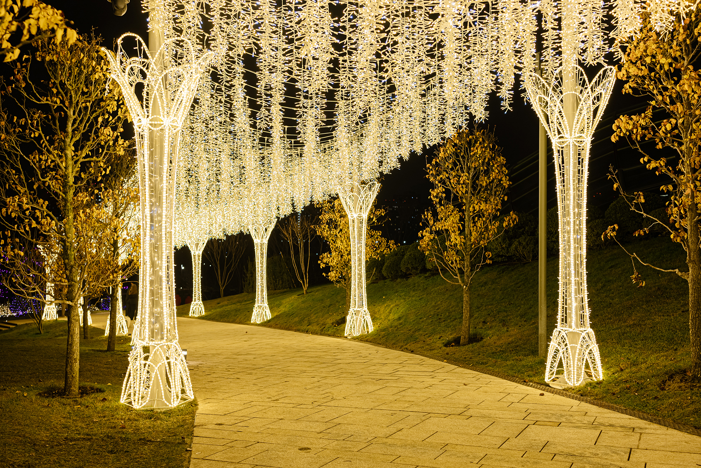Над прогулочными аллеями парка растянули гирлянды, а столбы превратили в светящиеся колонны