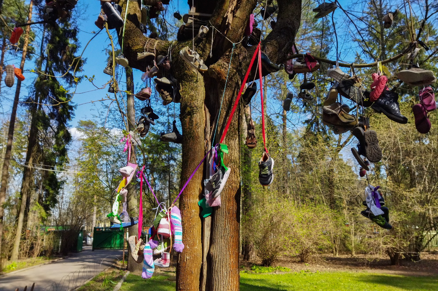 У входа на территорию стоит то самое Чудо⁠-⁠дерево с башмаками из стихотворения Чуковского. Поэт написал его для своей младшей дочки Муси