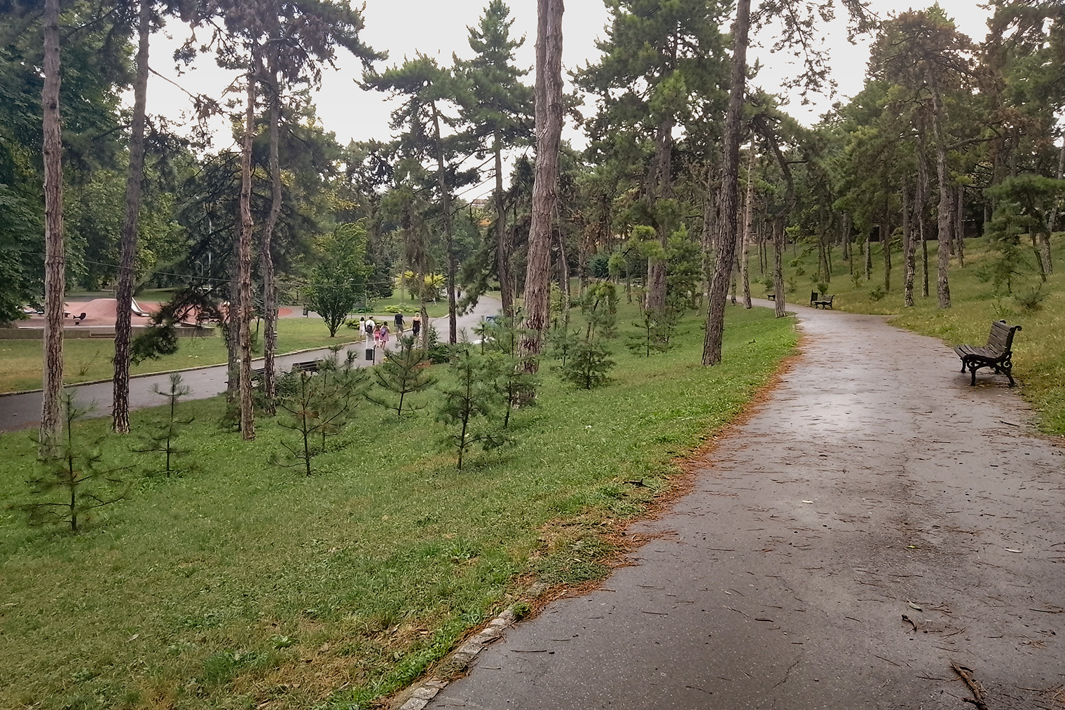 Парк «Калемегдан» — один из самых симпатичных в городе. Красивее только ботанический сад «Евремовац» в этом же районе