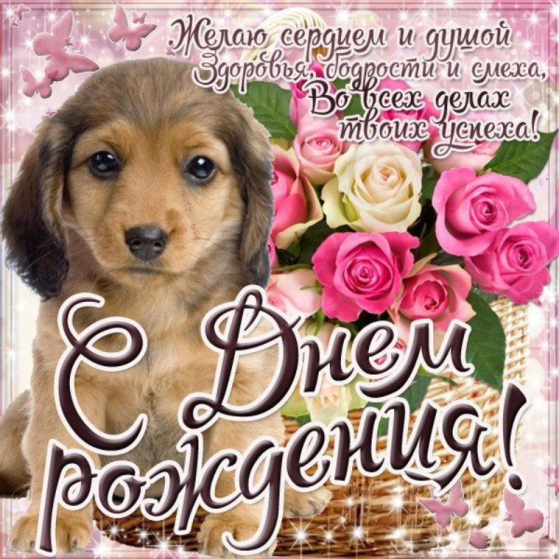 Щенок