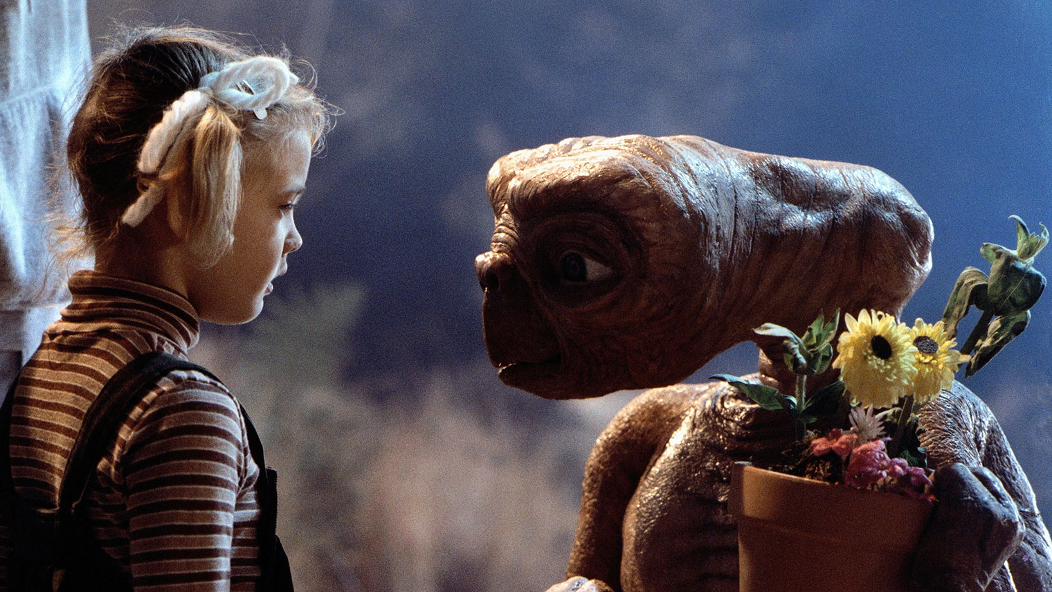 В «Инопланетянине» сыграла юная Дрю Бэрримор. На момент съемок ей было всего 6 лет. Источник: Universal Pictures