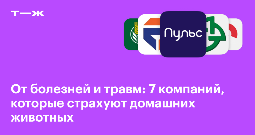 Страхование домашних животных: 7 компании, которые страхуют питомцев от ...