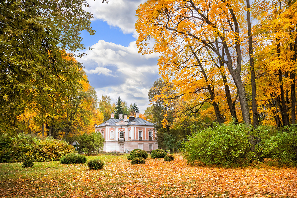 За золотой осенью в Петербурге стоит ехать за город. Источник: Baturina Yuliya / Shutterstock