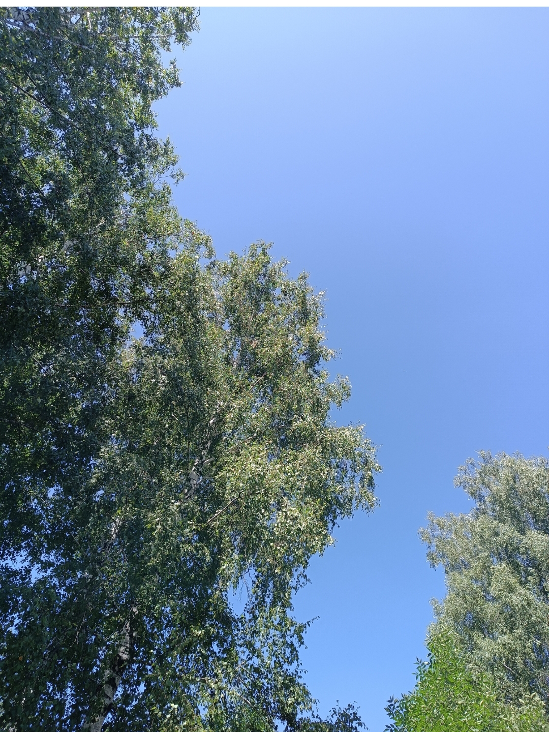 Фотография года