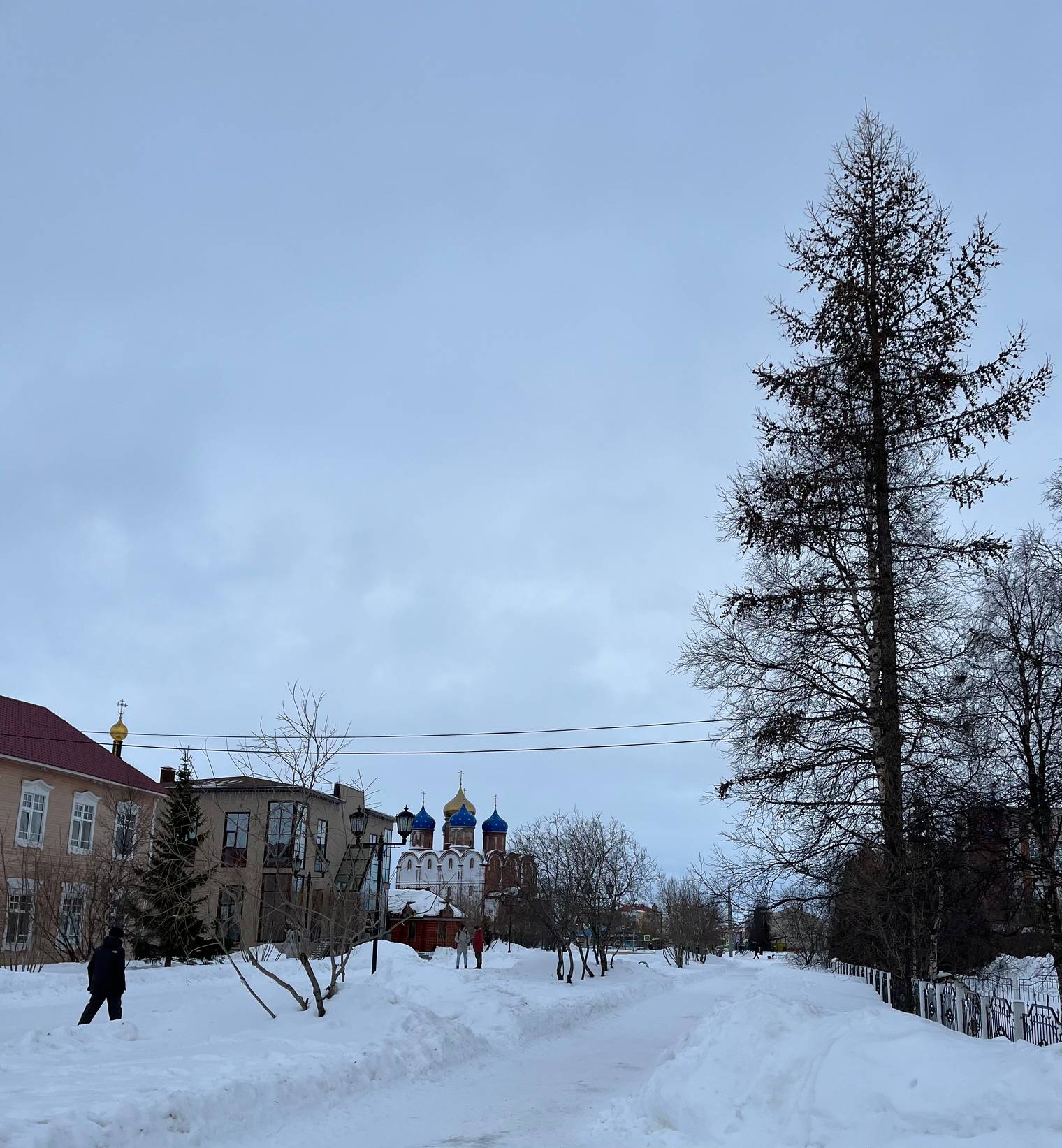 Фотоальбом: поездка в Нарьян-Мар в последний день зимы