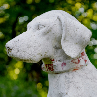 Обложка статьи