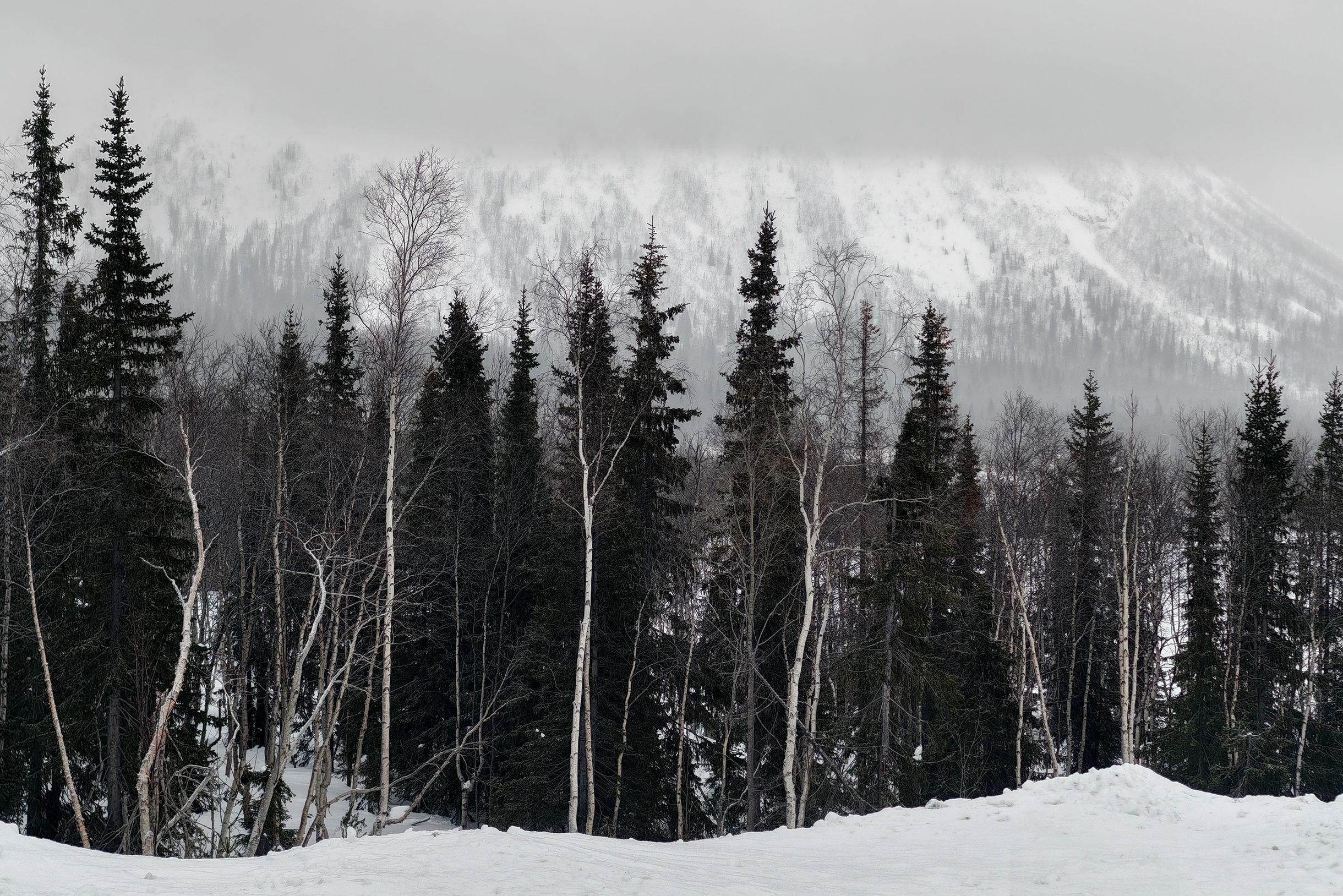 Окрестности «Тирваса» в единственный пасмурный и снежный день. Кстати, это фото не черно-белое. Свет такой