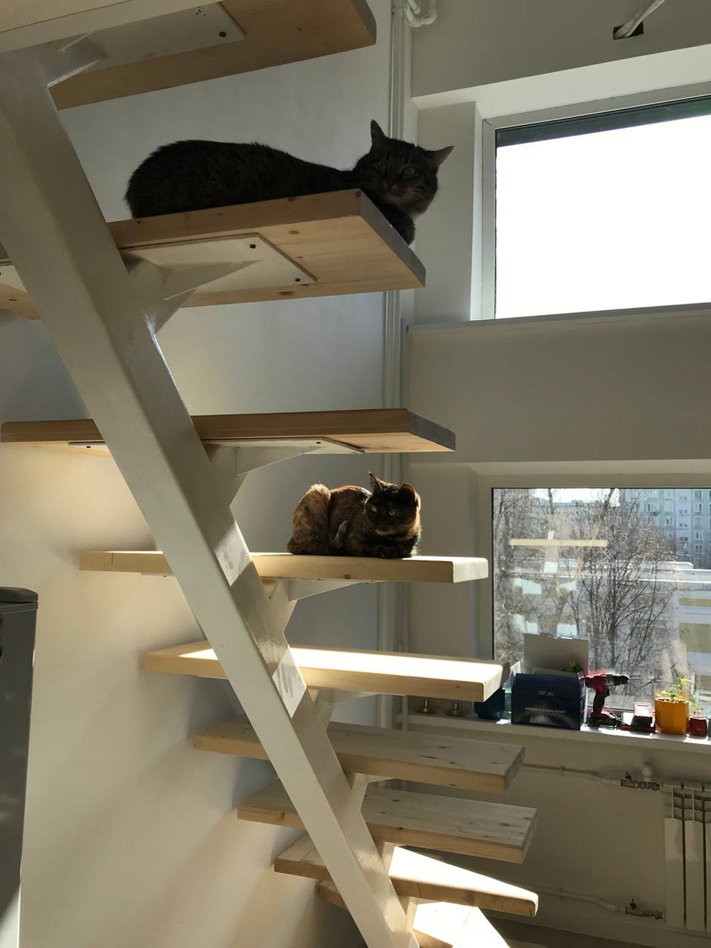Гостям страшно подниматься по этой лестнице без перил, но мы и кошки уже привыкли. Тем не менее планируем на всякий случай прикрепить перила к стене