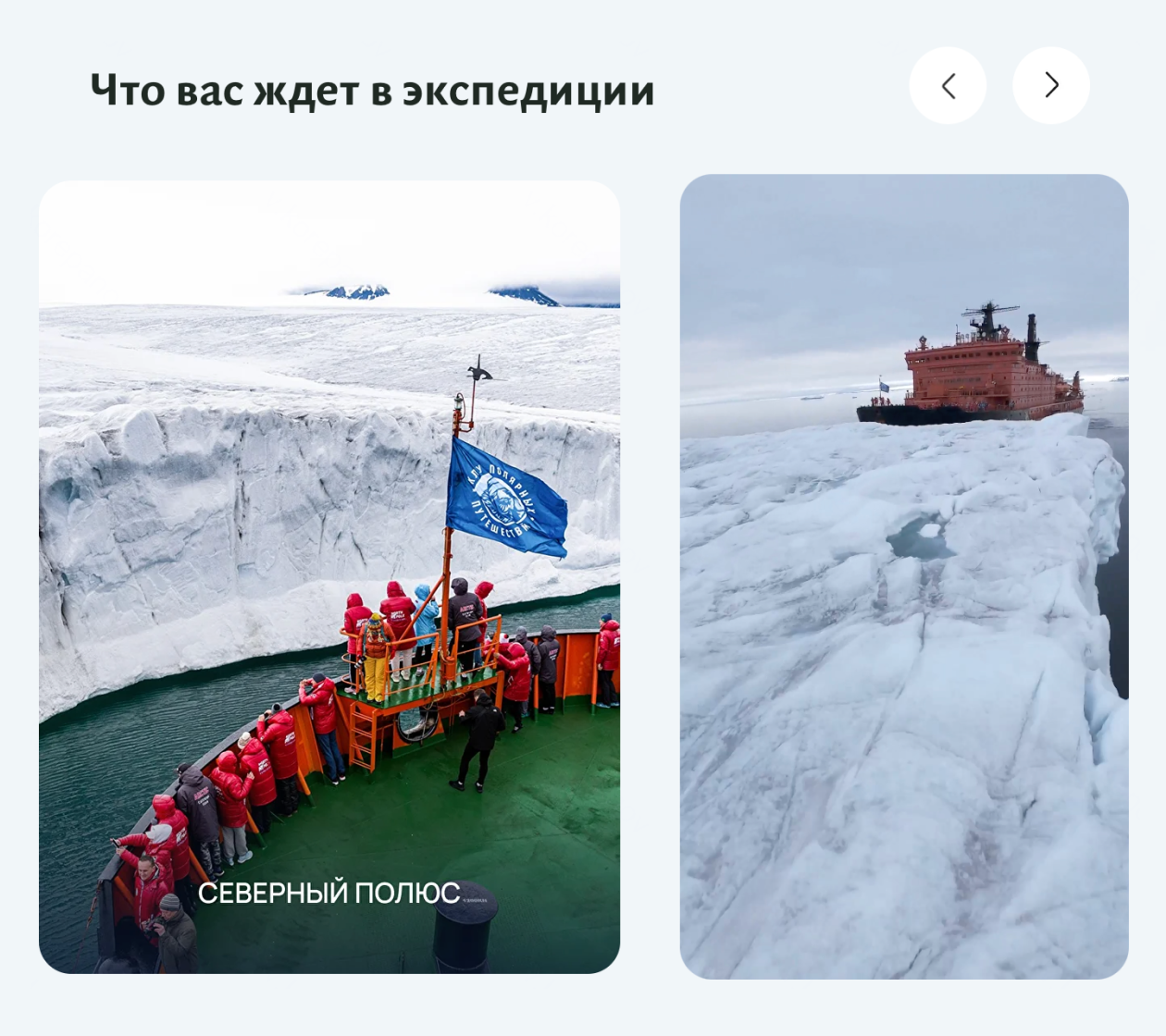 13-дневная экспедиция на Северный полюс на атомном ледоколе «50 лет Победы» в июле 2026 года стоит от 3,5 млн рублей с человека. Но далеко не все экспедиции такие дорогие: в основном они сопоставимы по цене с авторскими турами