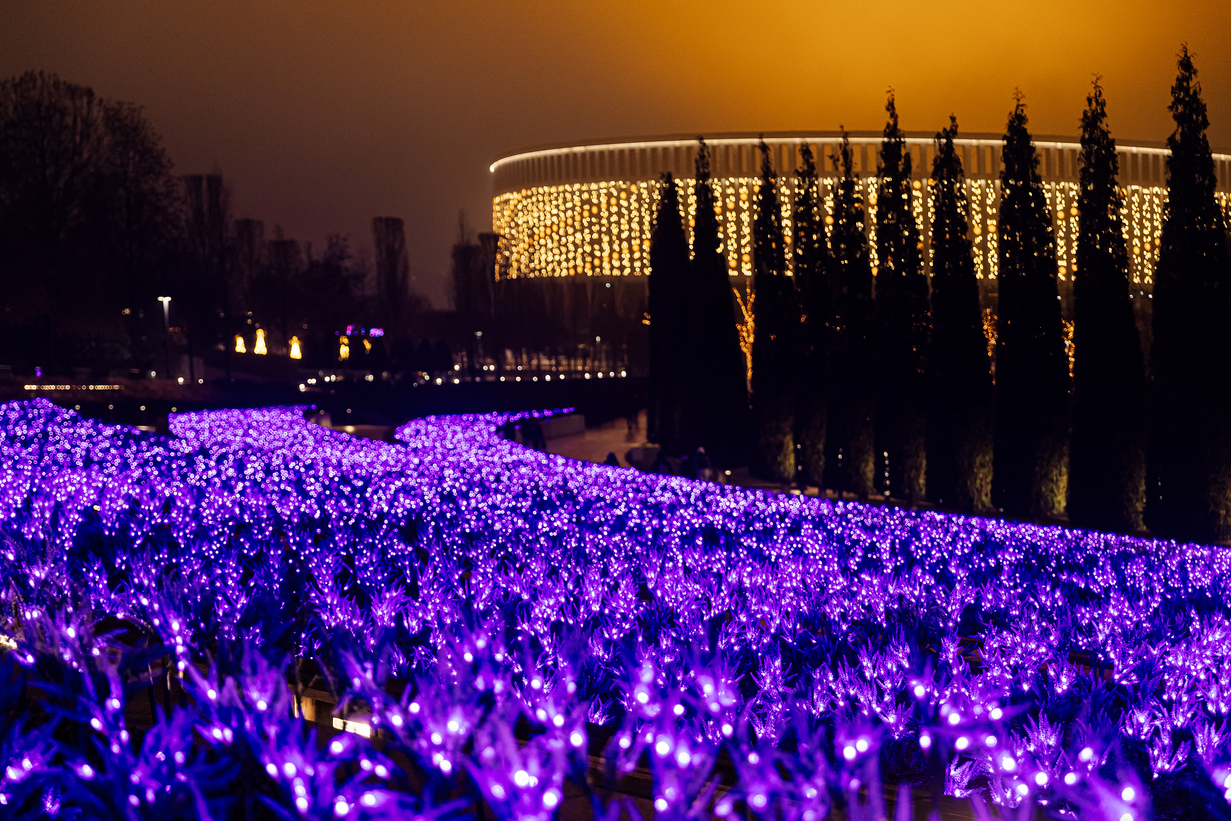 Одно из самых ярких украшений парка — искусственный фиолетовый шалфей. Ветви разместили в несколько рядов на разных уровнях