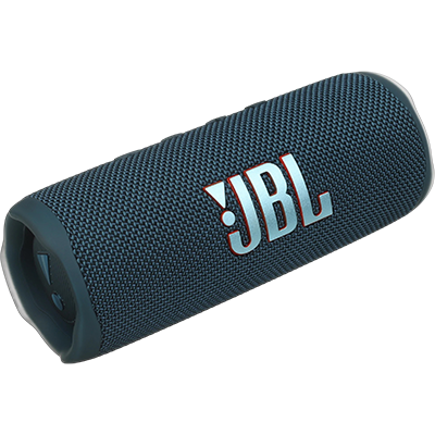 JBL Flip 6