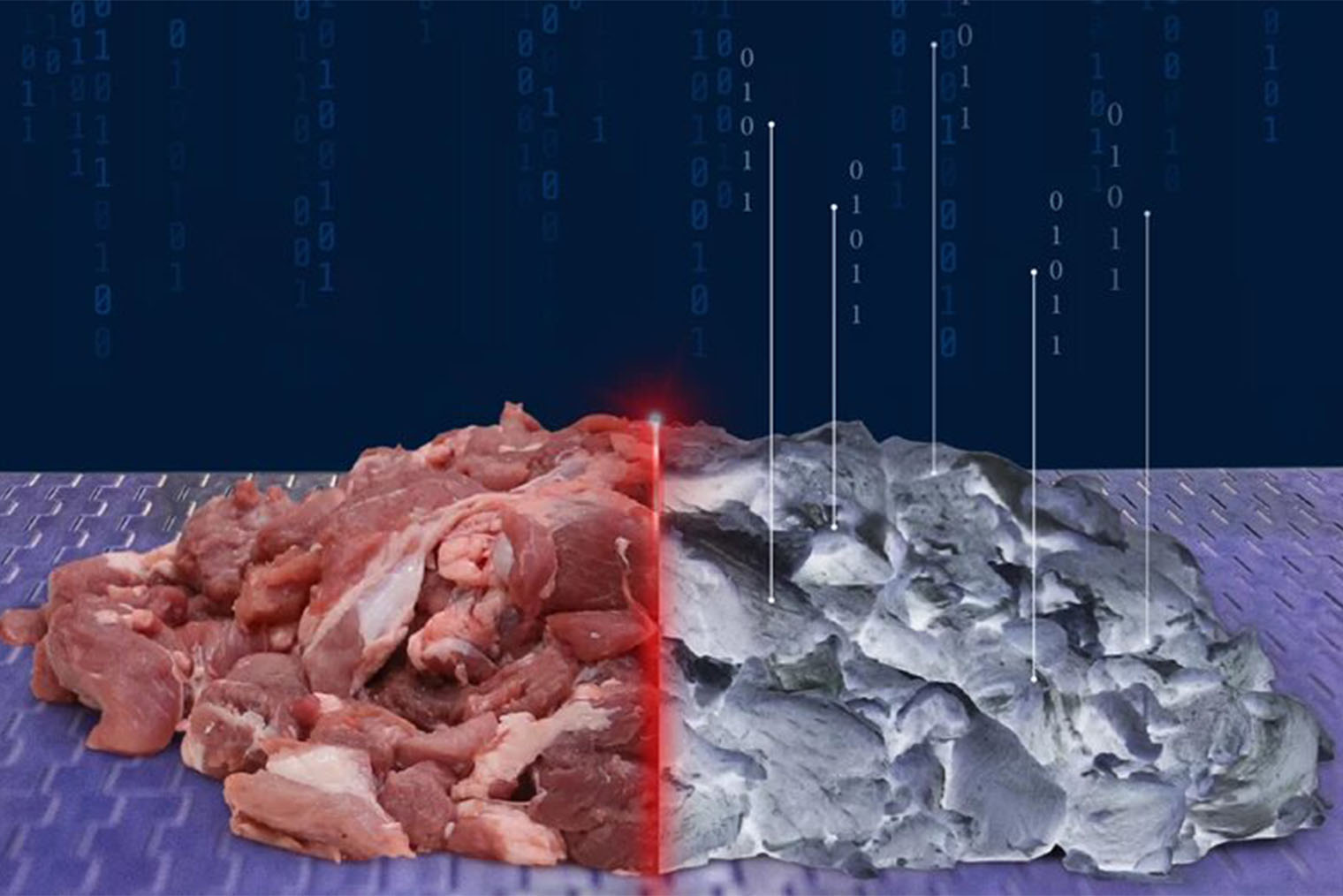 Рентгеновский снимок мясной обрези, полученный системой SensorX Accuro. Система обнаружит не только кости и хрящи, но и любые твердые включения, даже металл и стекло. Источник: foodbay.com