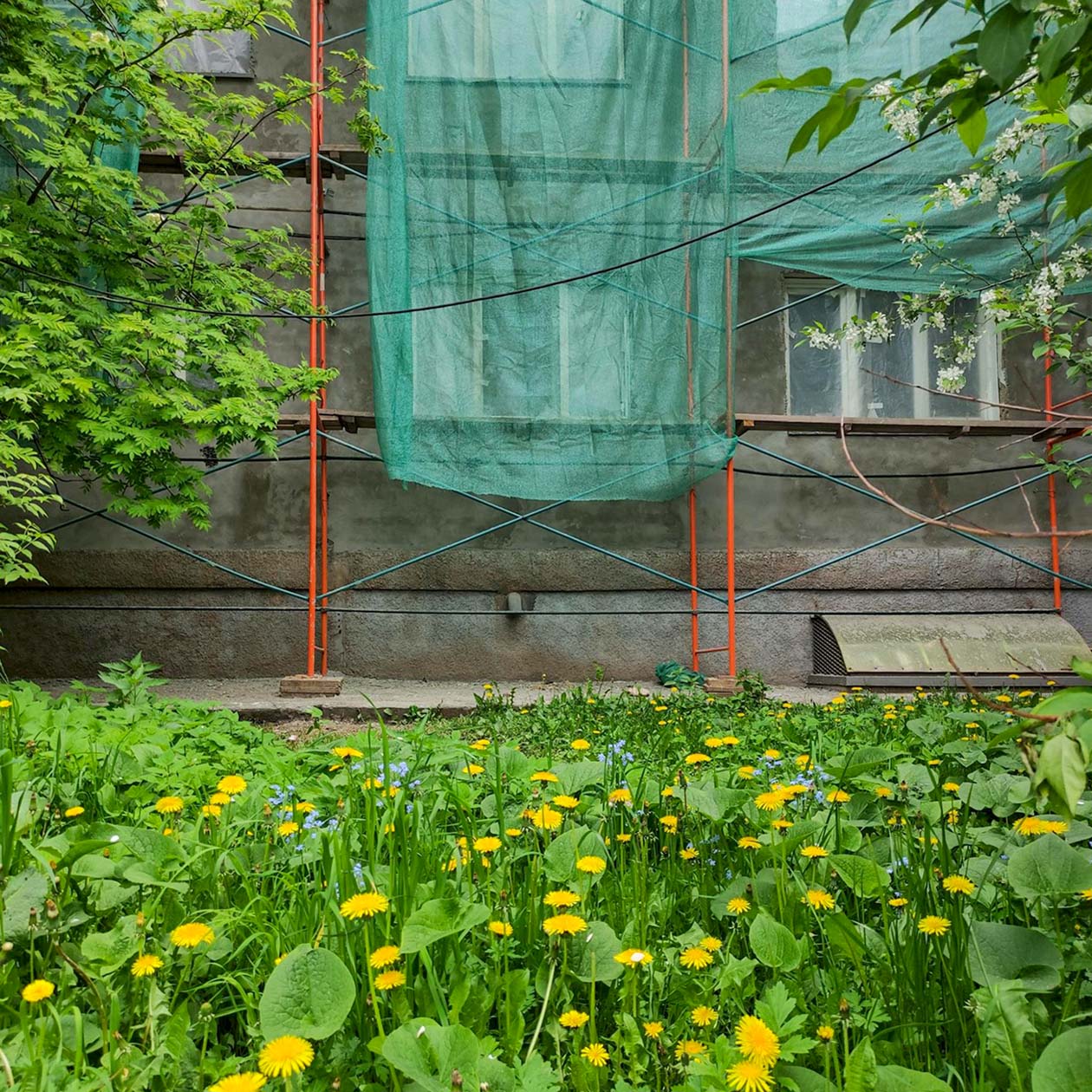 По дороге в квартиру