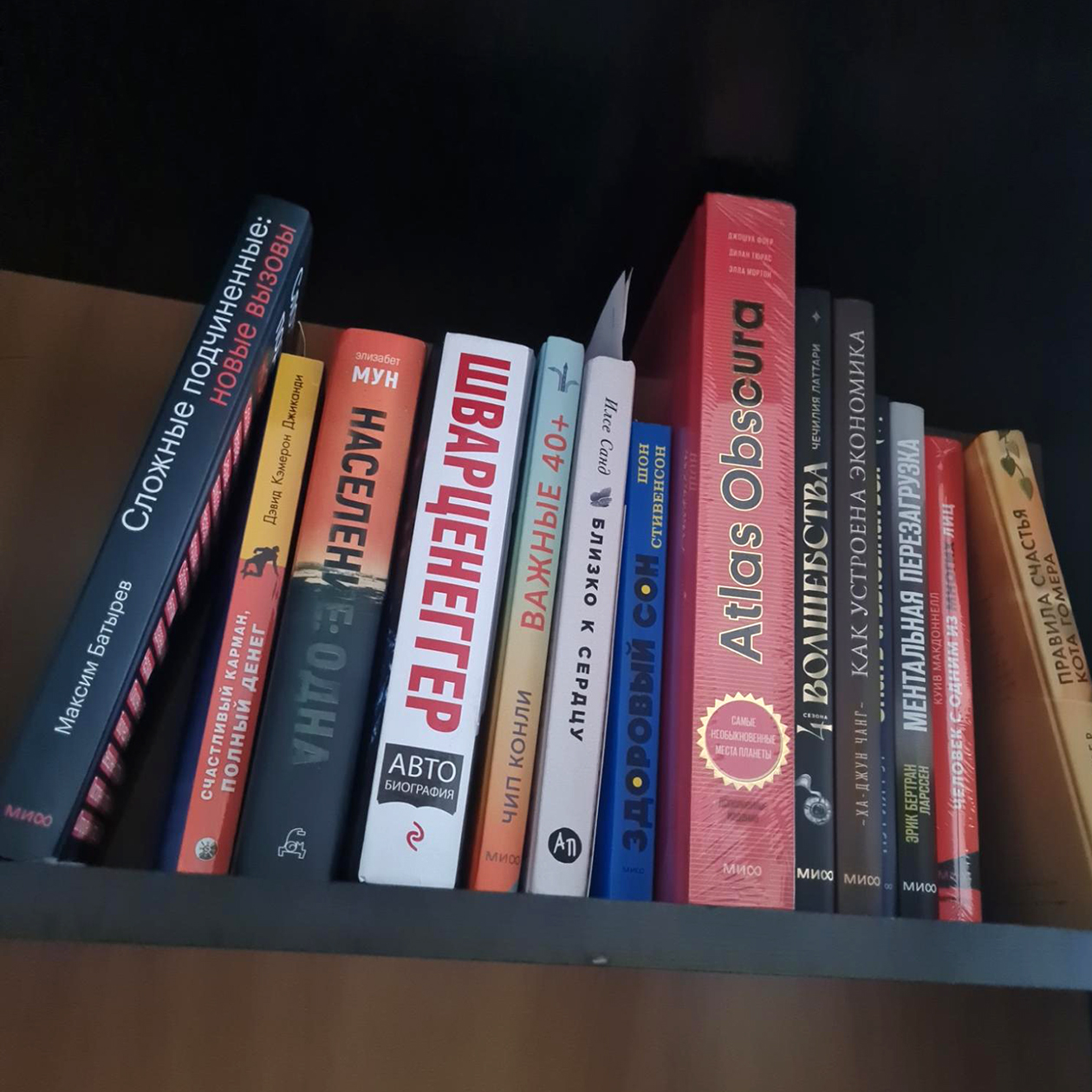 Моя мини-библиотека — книги, которые скопились, пока я живу у С. На самом деле книг больше, но они в другом жилье