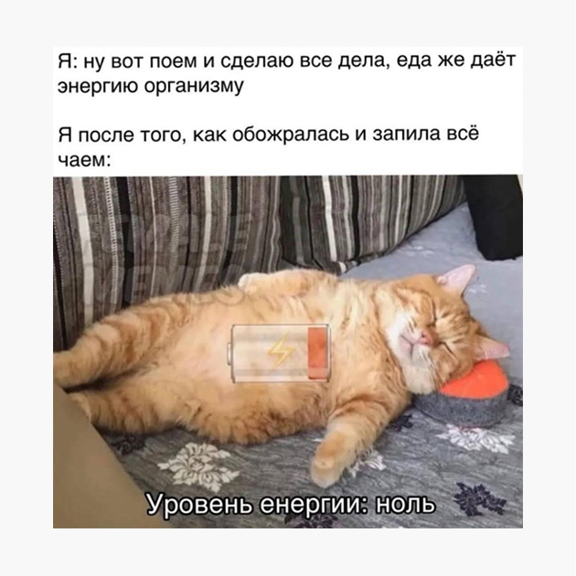 Мем про кота подходит и мне