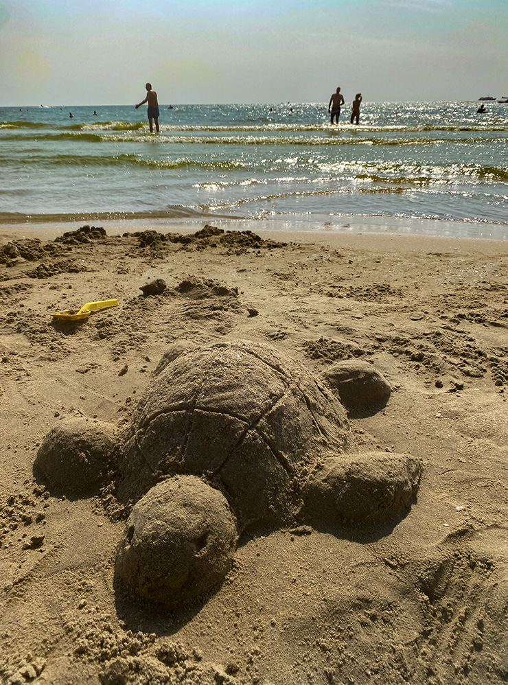 Мы сделали черепаху из песка
