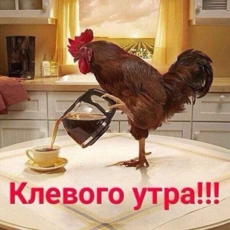 Петух с кофе
