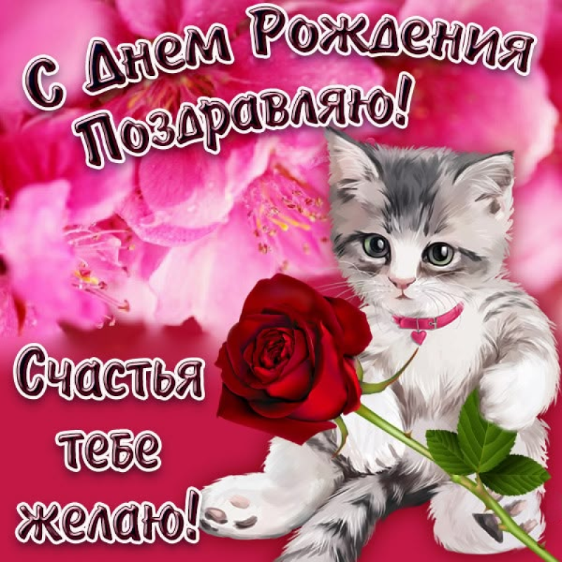 Котенок с розой