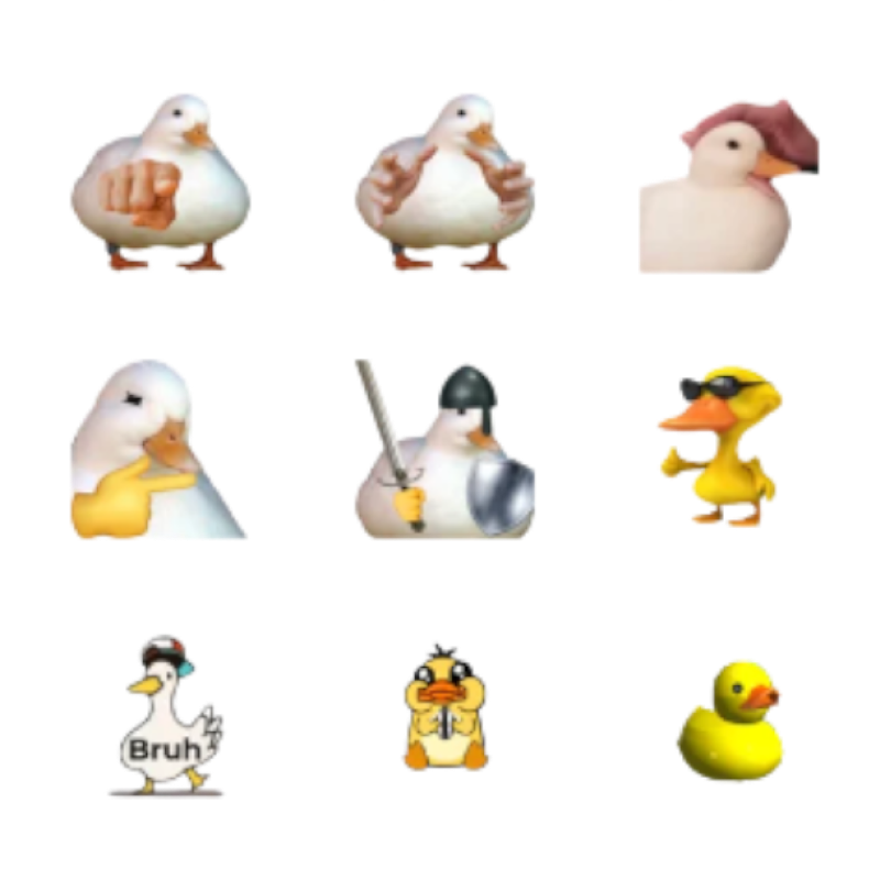 Утки, много уток