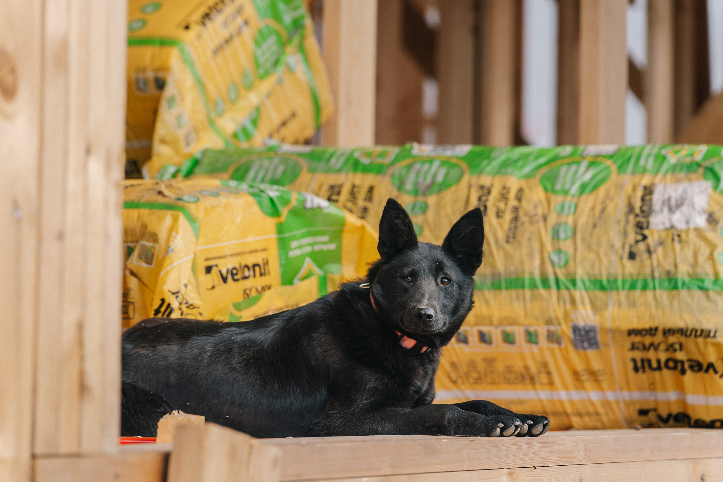 Планировали закончить его к майским праздникам, чтобы принять первых гостей