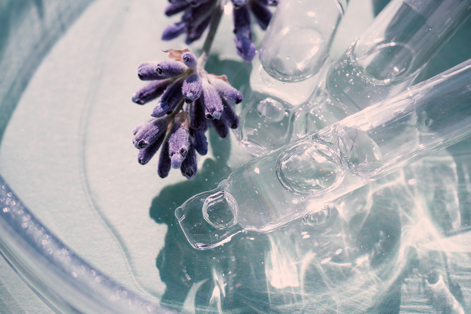 Фотография: Iryna Mylinska — shutterstock.com