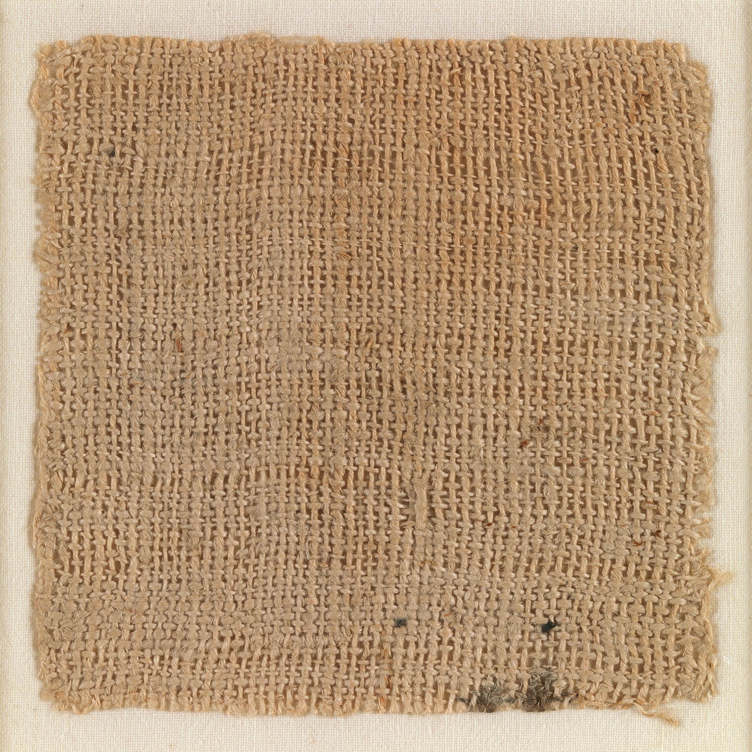 Фрагмент древнеегипетского льна 390—343 годов до н.э. Фотография: Metropolitan Museum of Art