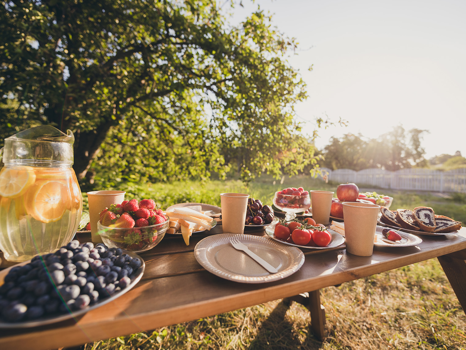 Фотография: Roman Samborskyi — shutterstock.com