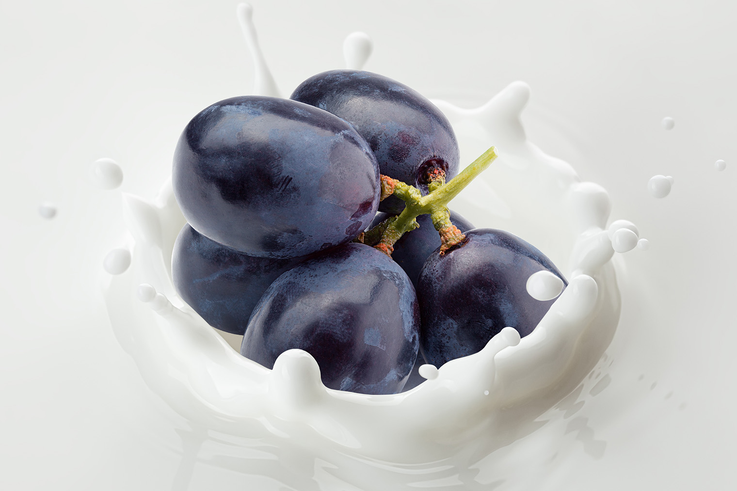 Изображение: grey_and — www.shutterstock.com