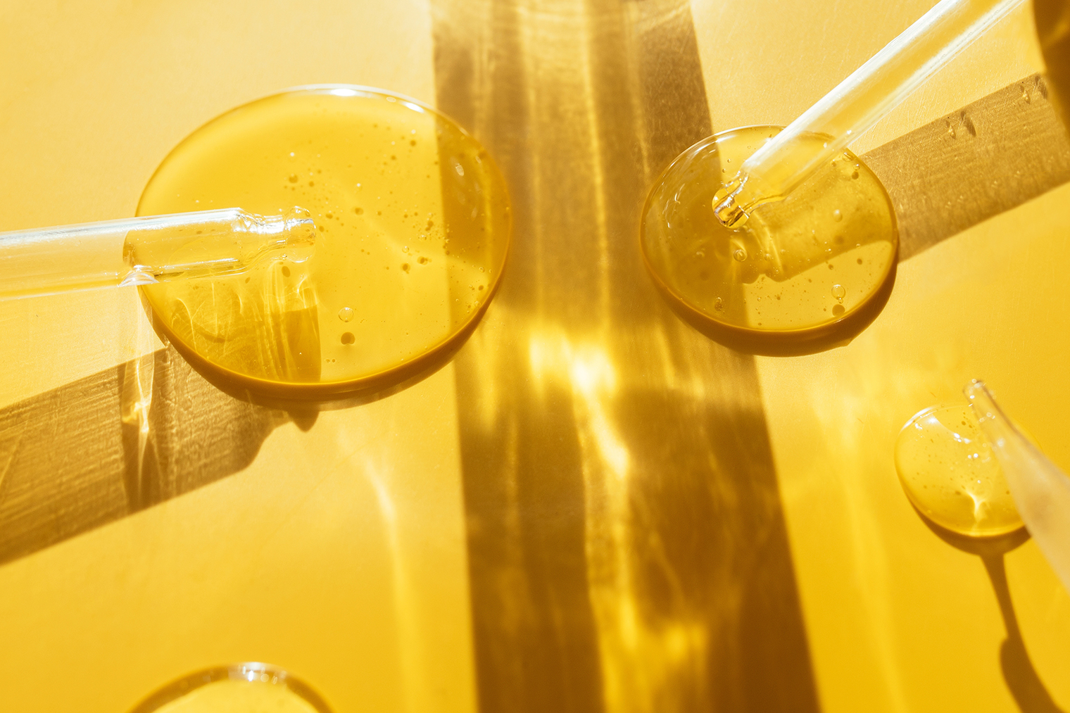 Фотография: Ekaterina_Klishevnik — shutterstock.com