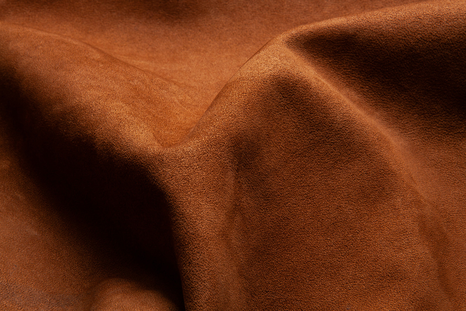 Фотография: Noah Kros — Unsplash