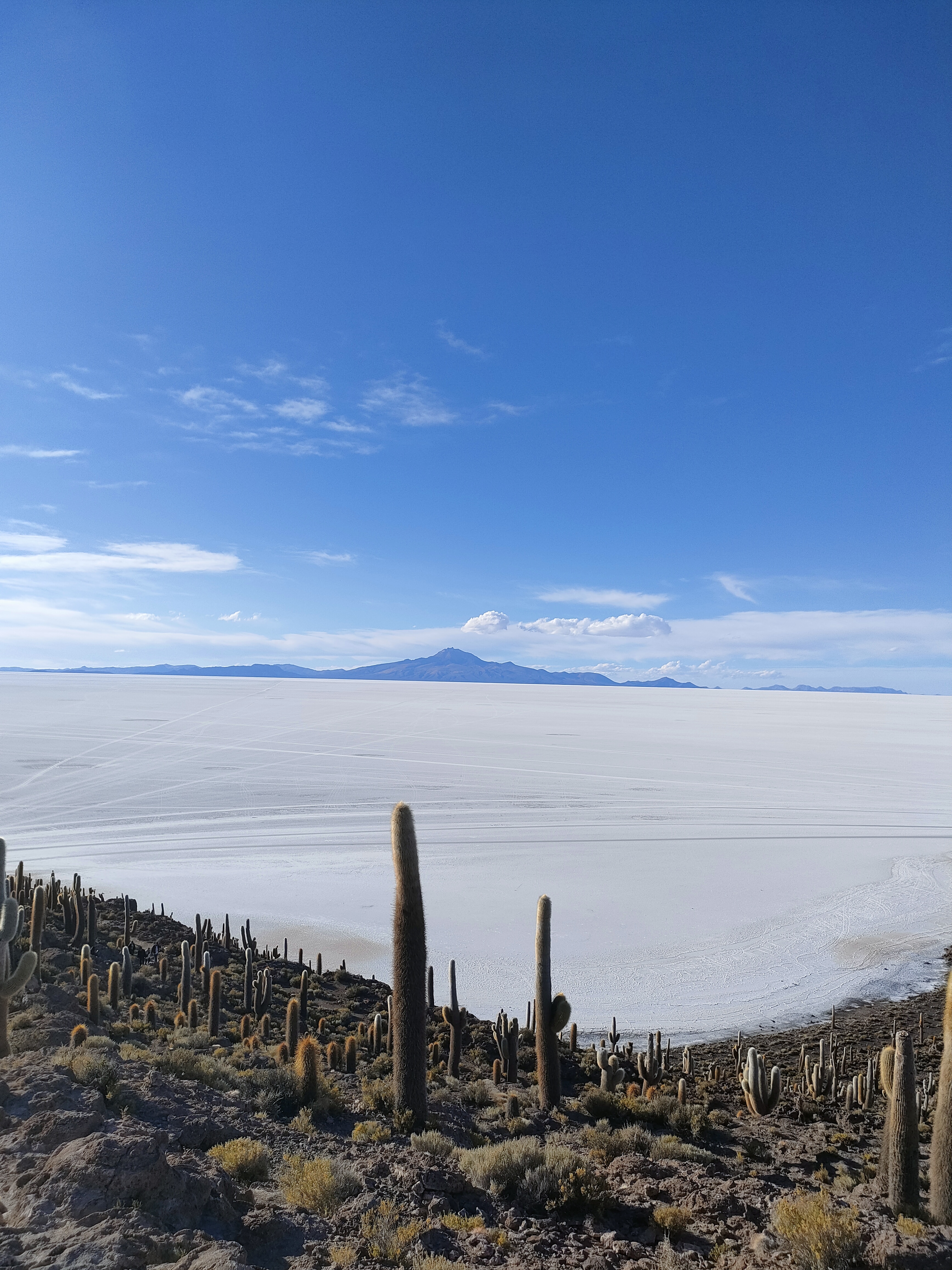 Остров Инкауаси (Isla Incahuasi). На этом остров ерастут уникальные кактусы. В год вырастают на 1 см. Очень много кактусов выше 3 метров
