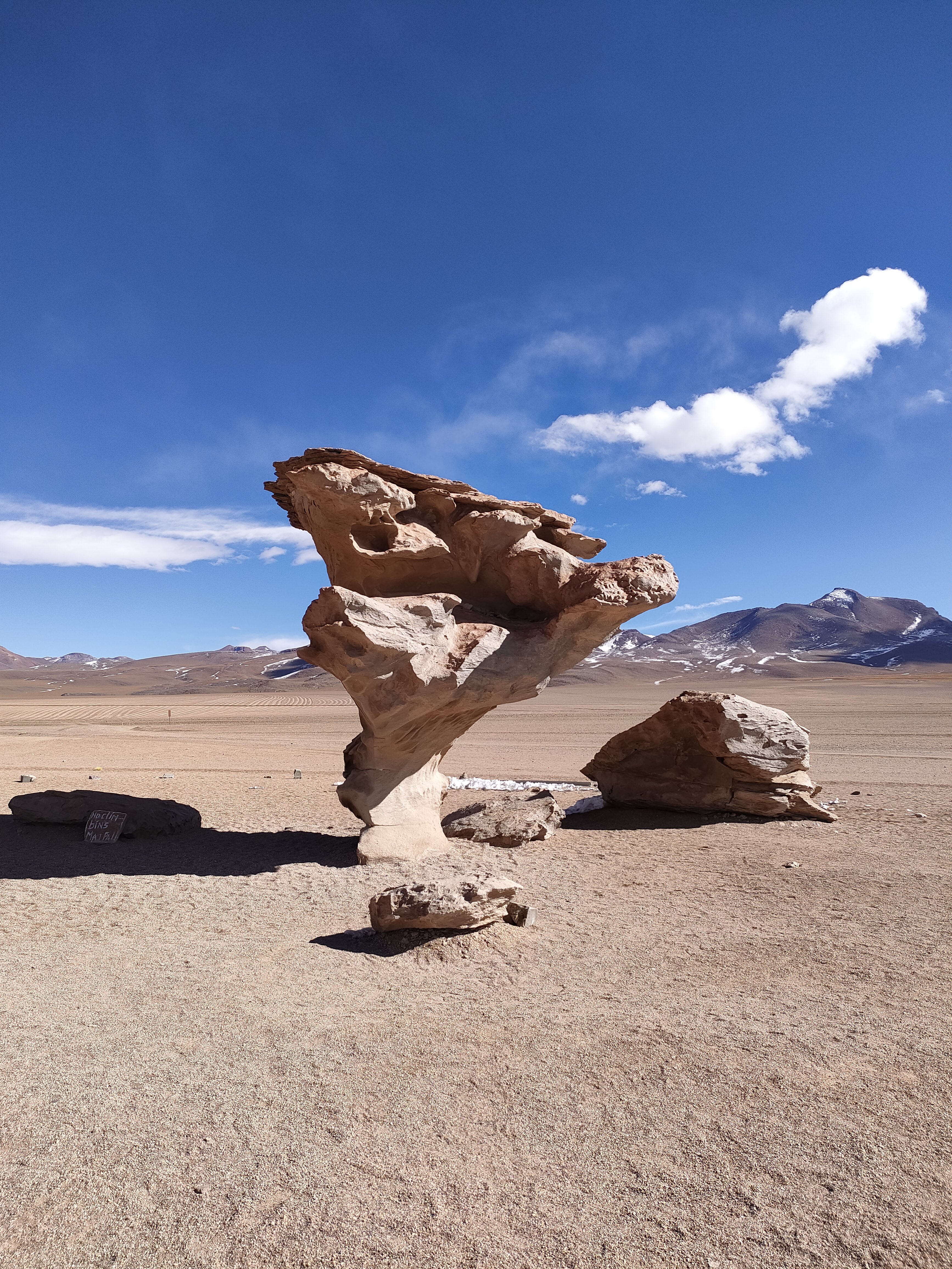 Rock Tree