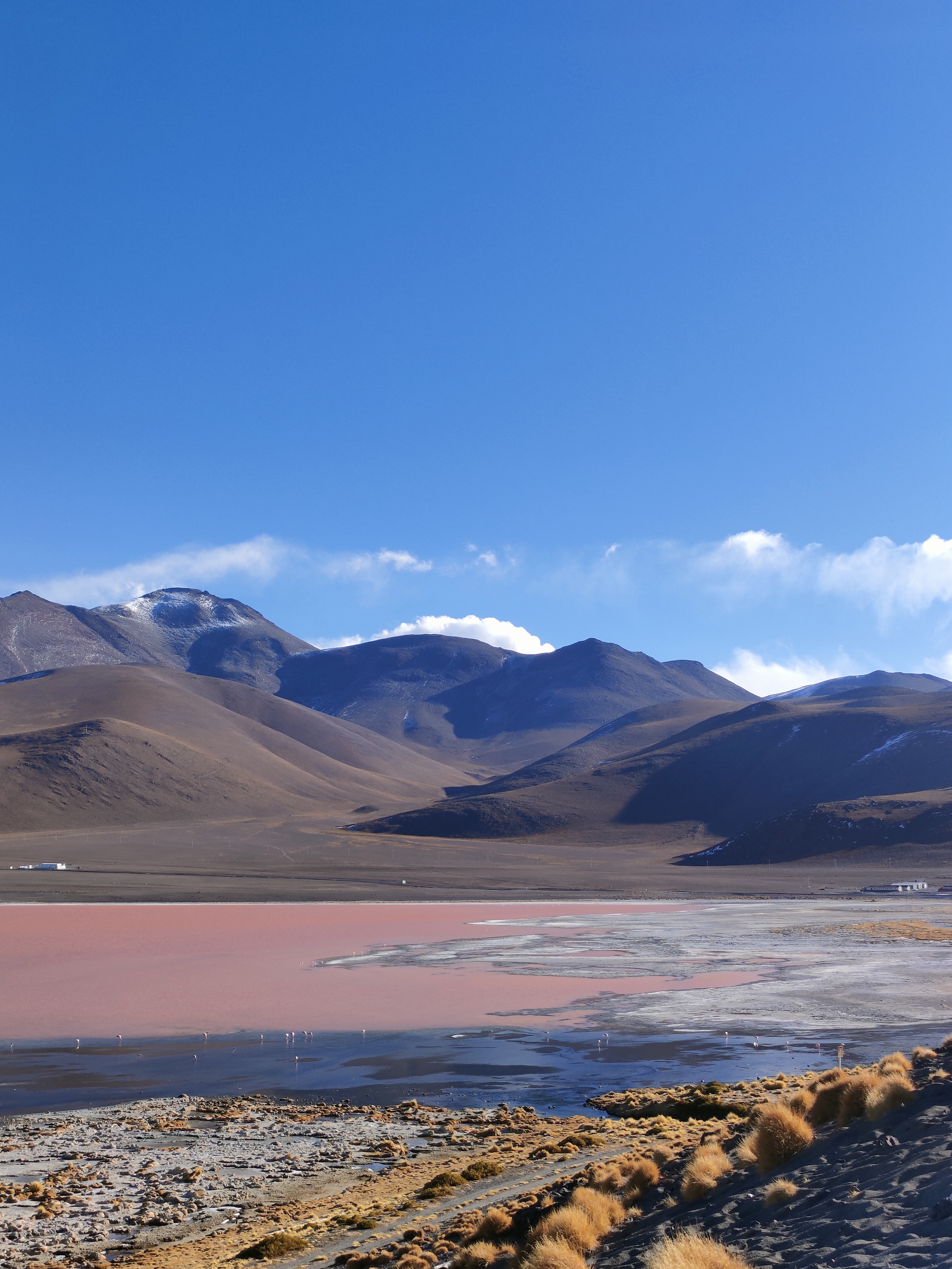 Последняя точка второго дня Цветное озеро (Laguna Colorada)