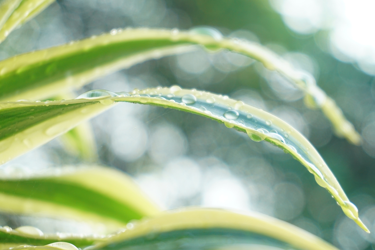 Фотография: NareeT — shutterstock.com